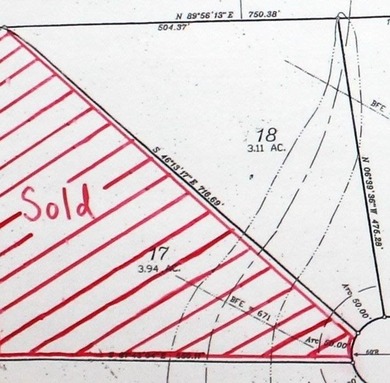 3 acres in beautiful neighborhood with all gated driveways - photo 3