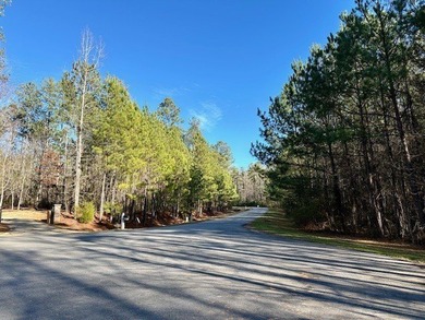3 acres in beautiful neighborhood with all gated driveways - photo 10