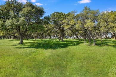 Welcome to a rare blend of bold Texas beauty & modern luxury - photo 6