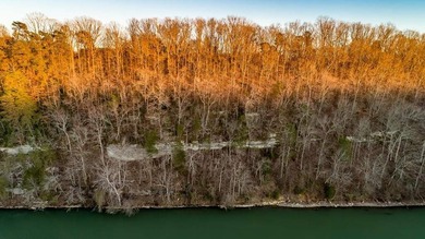 BUILD YOUR DREAM HOME ON BEAUTIFUL SHOAL CREEK! THIS PROPERTY - photo 11