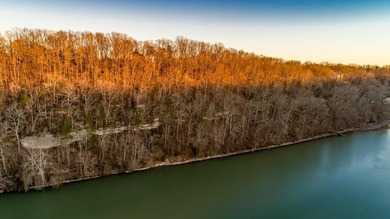 BUILD YOUR DREAM HOME ON BEAUTIFUL SHOAL CREEK! THIS PROPERTY - photo 12