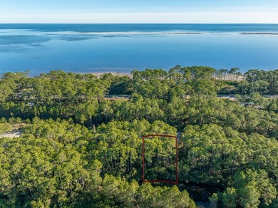 Lake Lot For Sale in Carabelle, Florida