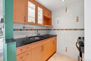 Welcome to Residence 15L at Towers at Water's Edge, a bright - photo 7
