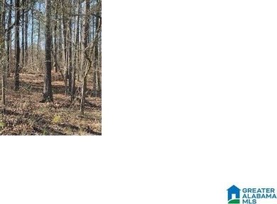 Lake Lot For Sale in Alpine, Alabama