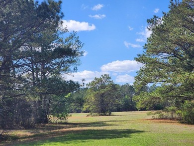 Easy access on and off Hwy 82 make this commercial 11.57 acres - photo 2