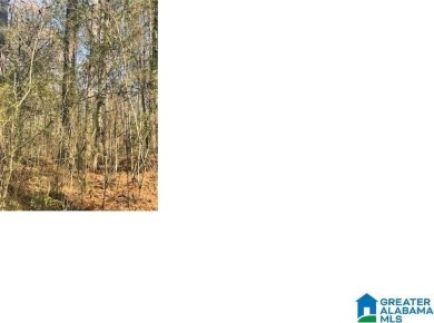 Lake Lot For Sale in Alpine, Alabama