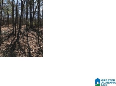 Lake Lot For Sale in Alpine, Alabama