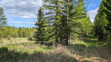 Discover the serenity of Northwest Montana with this beautiful - photo 11