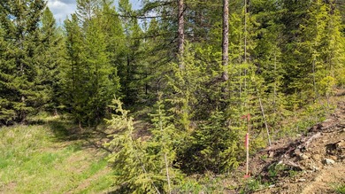 Discover the serenity of Northwest Montana with this beautiful - photo 12
