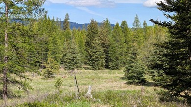 Discover the serenity of Northwest Montana with this beautiful - photo 13