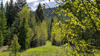 Discover the serenity of Northwest Montana with this beautiful - photo 15