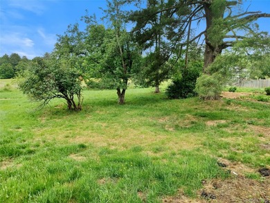 This Colonial home in Cochecton presents solid bones and a - photo 6