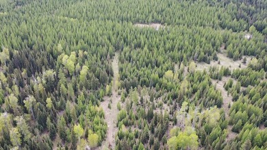 Discover the serenity of Northwest Montana with this beautiful - photo 16