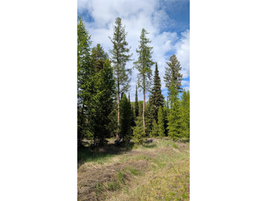 Discover the serenity of Northwest Montana with this beautiful - photo 17