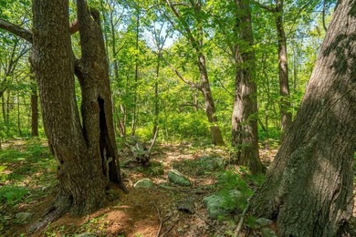 Welcome to an incredible opportunity to own land in one of - photo 22