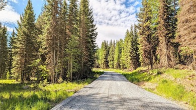 Discover the serenity of Northwest Montana with this beautiful - photo 22