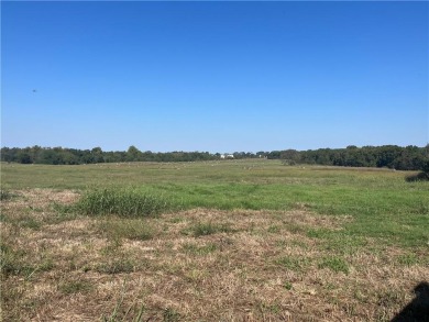 (private lake, pond, creek) Commercial For Sale in Southwest City Missouri
