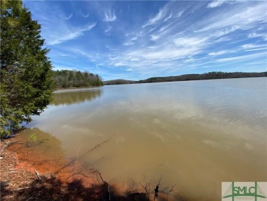 Lake Lot For Sale in Elberton, Georgia