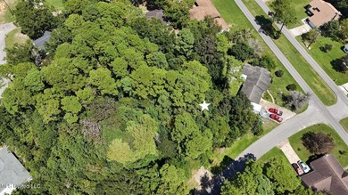 Land for Sale - Sandpiper Lane, Gautier, MS This beautiful - photo 2