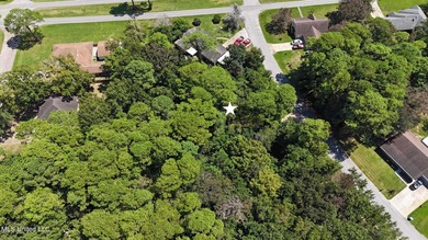 Land for Sale - Sandpiper Lane, Gautier, MS This beautiful - photo 4
