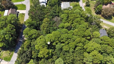 Land for Sale - Sandpiper Lane, Gautier, MS This beautiful - photo 7