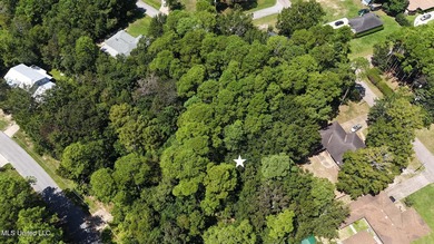 Land for Sale - Sandpiper Lane, Gautier, MS This beautiful - photo 8