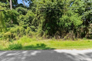Land for Sale - Sandpiper Lane, Gautier, MS This beautiful - photo 9