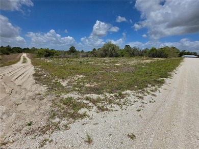 Cleared .28-Acre Corner Lot in Avon Park Lakes! Located with a - photo 1