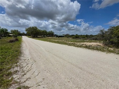 Cleared .28-Acre Corner Lot in Avon Park Lakes! Located with a - photo 3