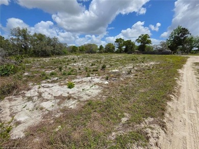 Cleared .28-Acre Corner Lot in Avon Park Lakes! Located with a - photo 5