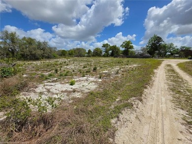 Cleared .28-Acre Corner Lot in Avon Park Lakes! Located with a - photo 6