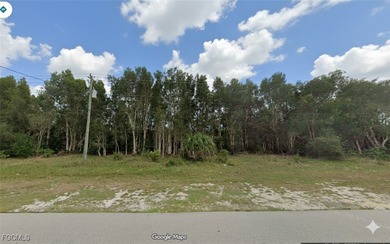 Lehigh Acres Area Lot For Sale in Lehigh Acres Florida
