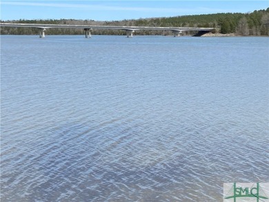 Lake Lot For Sale in Elberton, Georgia