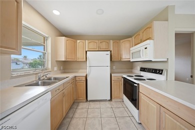Seize your slice of the Florida lifestyle with this well - photo 10