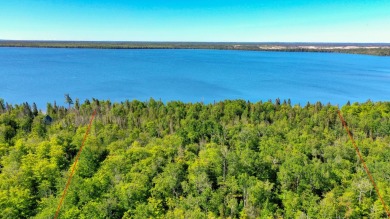 Lake Acreage For Sale in Gould City, Michigan