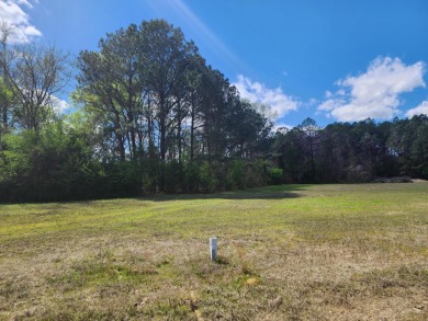 (private lake, pond, coastal) Lot For Sale in Columbus Mississippi