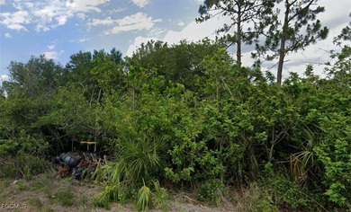 Lehigh Acres Area Lot For Sale in Lehigh Acres Florida