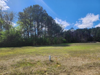 (private lake, pond, coastal) Lot For Sale in Columbus Mississippi