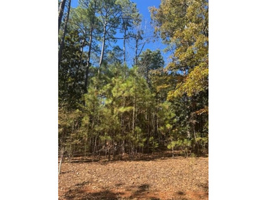 Lake Lorraine Lot For Sale in Pine Mountain Georgia