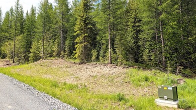 Discover the serenity of Northwest Montana with this beautiful - photo 15