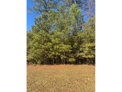 Lake Lorraine Lot For Sale in Pine Mountain Georgia