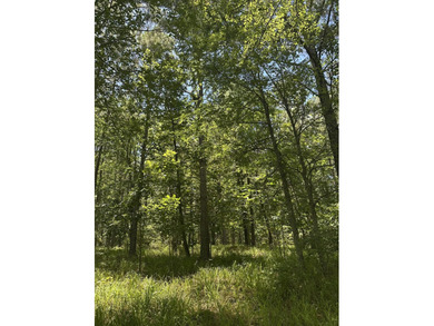 Beautiful Interior Lake Lot in the Eagle Pointe lake community - photo 3
