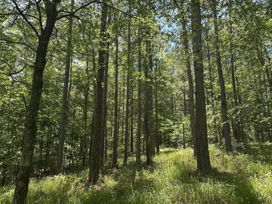 Beautiful Interior Lake Lot in the Eagle Pointe lake community - photo 4