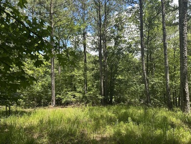 Beautiful Interior Lake Lot in the Eagle Pointe lake community - photo 5