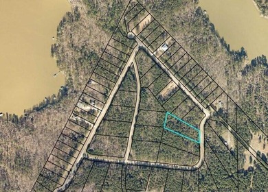 Beautiful Interior Lake Lot in the Eagle Pointe lake community - photo 9