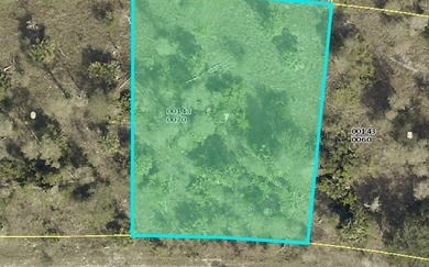 Lehigh Acres Area Lot For Sale in Other Florida