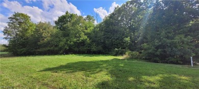 Lake Lot For Sale in West Salem, Ohio