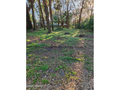Build Your Florida Dream Home in Florida Shores! Opportunity - photo 2