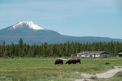 Bar Y Ranch and Pivots is a rare opportunity to acquire a - photo 2