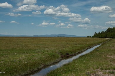 Bar Y Ranch and Pivots is a rare opportunity to acquire a - photo 4